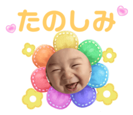 745255381