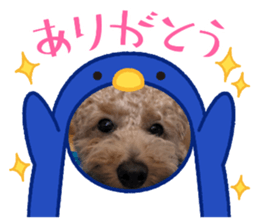 745260172