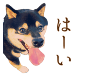 745262865
