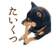 745262878