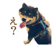 745262880