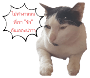 745264144
