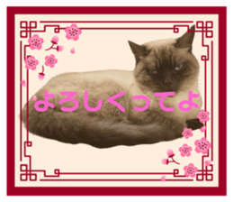 745271036