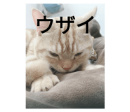 745271527
