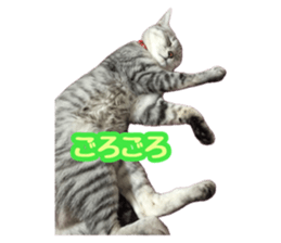 745274005