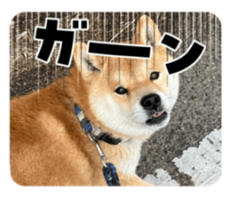 745278292