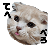 745279261