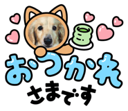 745292043