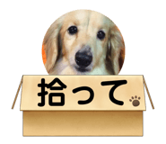 745292053