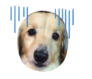 745292054