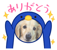 745292056