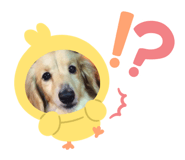 745292062