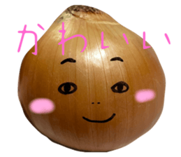 745293263