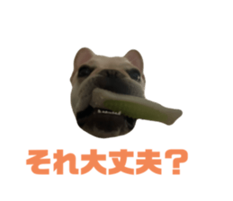 745303464