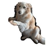 745308396