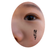 745316654