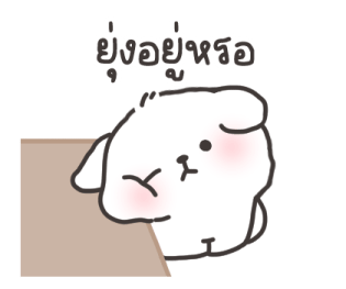 คอตตอน-บ๊อก วาเลนไทน์ รูปที่ 10