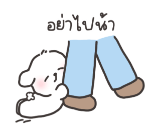 คอตตอน-บ๊อก วาเลนไทน์ รูปที่ 12