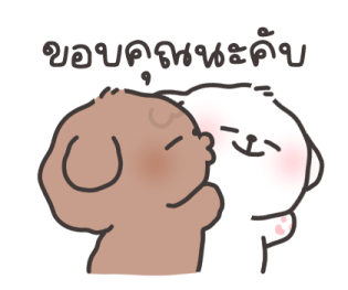 คอตตอน-บ๊อก วาเลนไทน์ รูปที่ 15