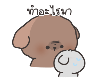 คอตตอน-บ๊อก วาเลนไทน์ รูปที่ 21