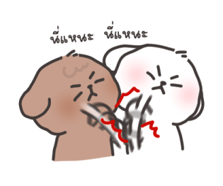 คอตตอน-บ๊อก วาเลนไทน์ รูปที่ 24