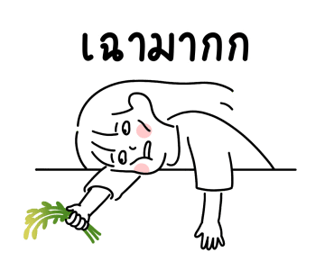 ลายที่ 31