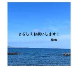 745323348