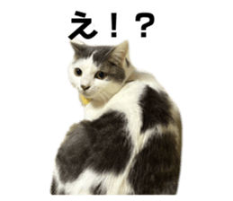 745335207