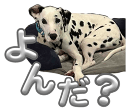 745343307