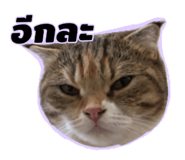 745344388
