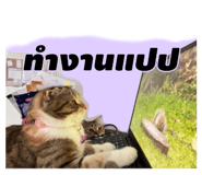 745344393