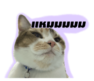 745344396