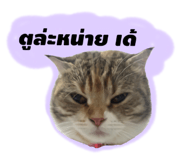 745344398