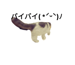 745345481
