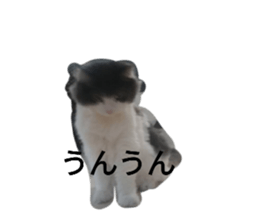 745345483
