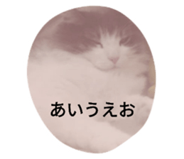 745345495