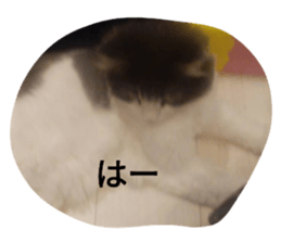 745345496