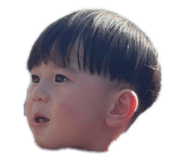745346647