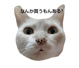 745347420