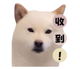 745348175