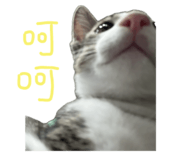 745352045