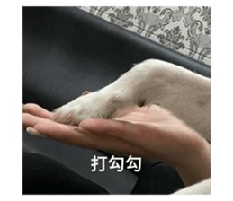 745352216