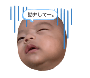 745355569