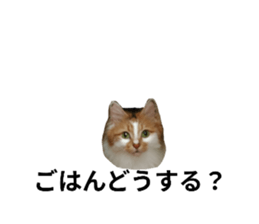 745365371