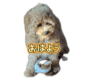 745368397