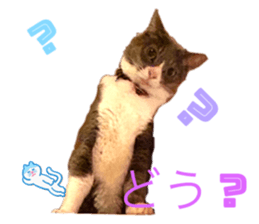 745369048