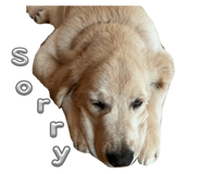 745370468