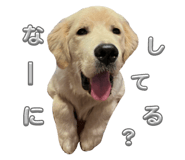 745370469