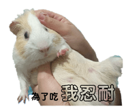 745373089