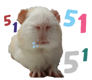 745373096
